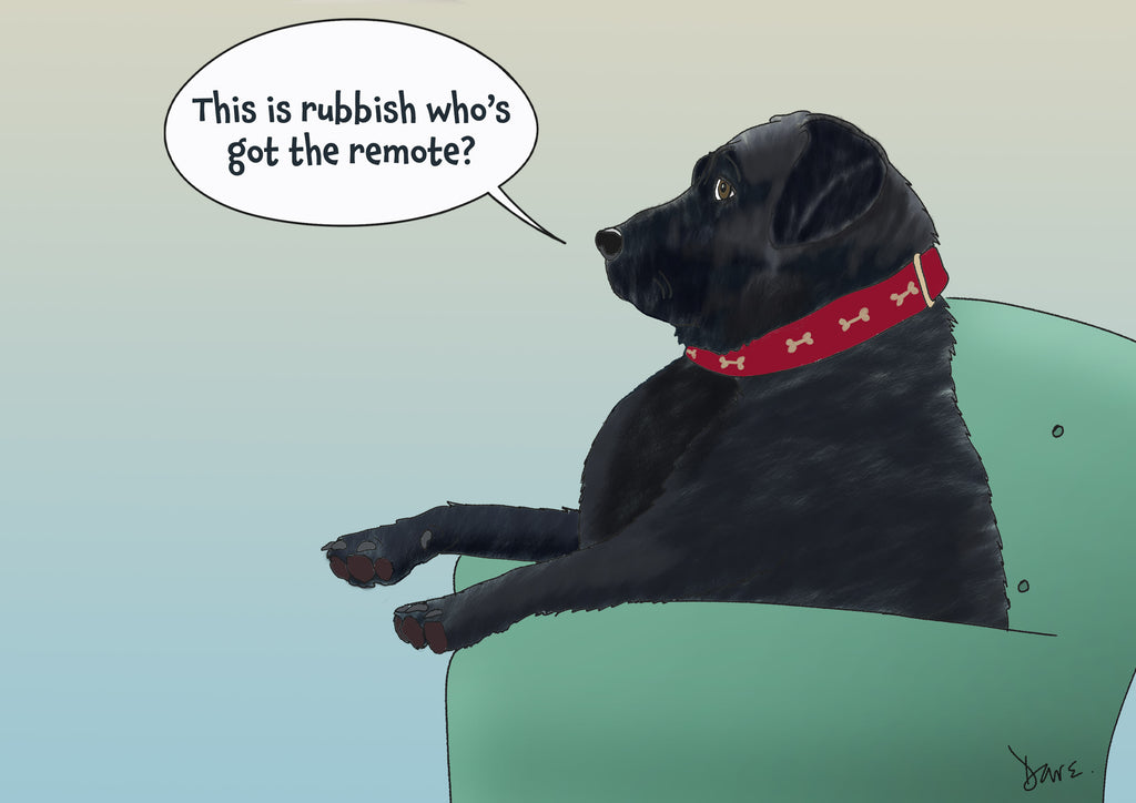 Black dog on a sofa with a humorous speech bubble