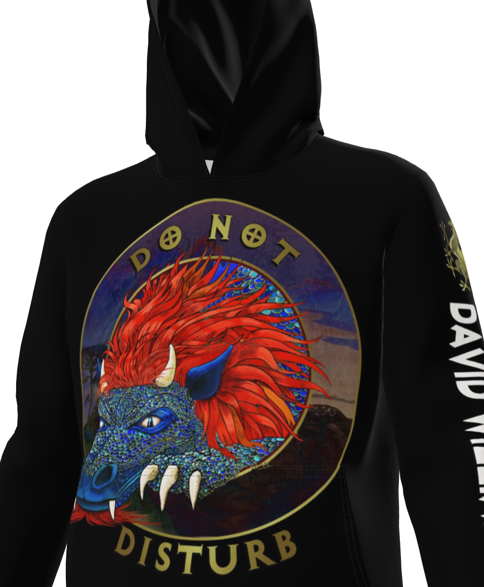 Do not disturb the dragon, premium hoodie