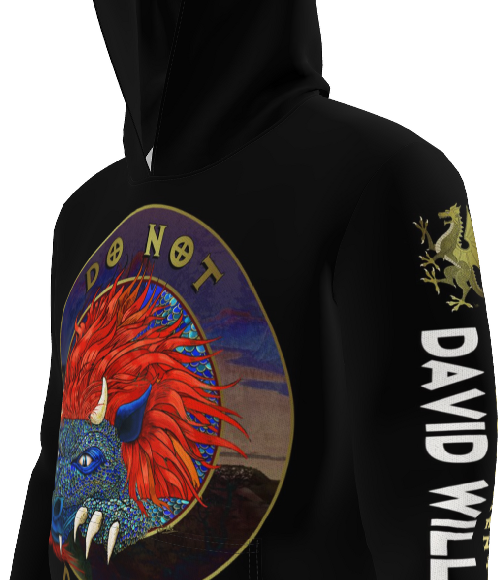Do not disturb the dragon, premium hoodie