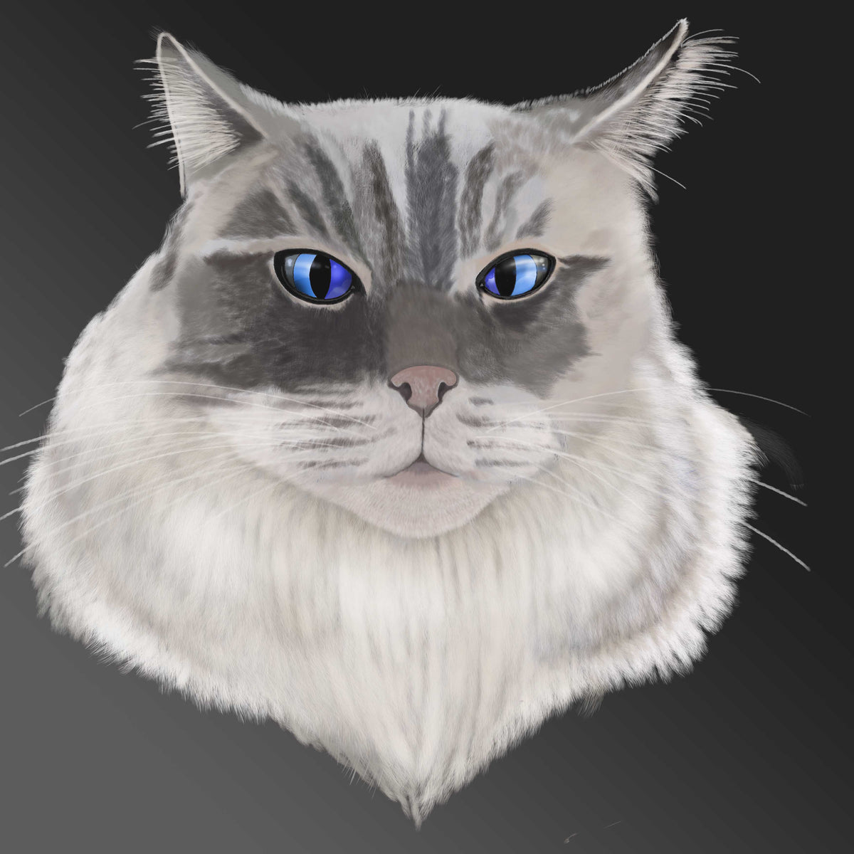 Portrait of a fluffy cat with blue eyes
