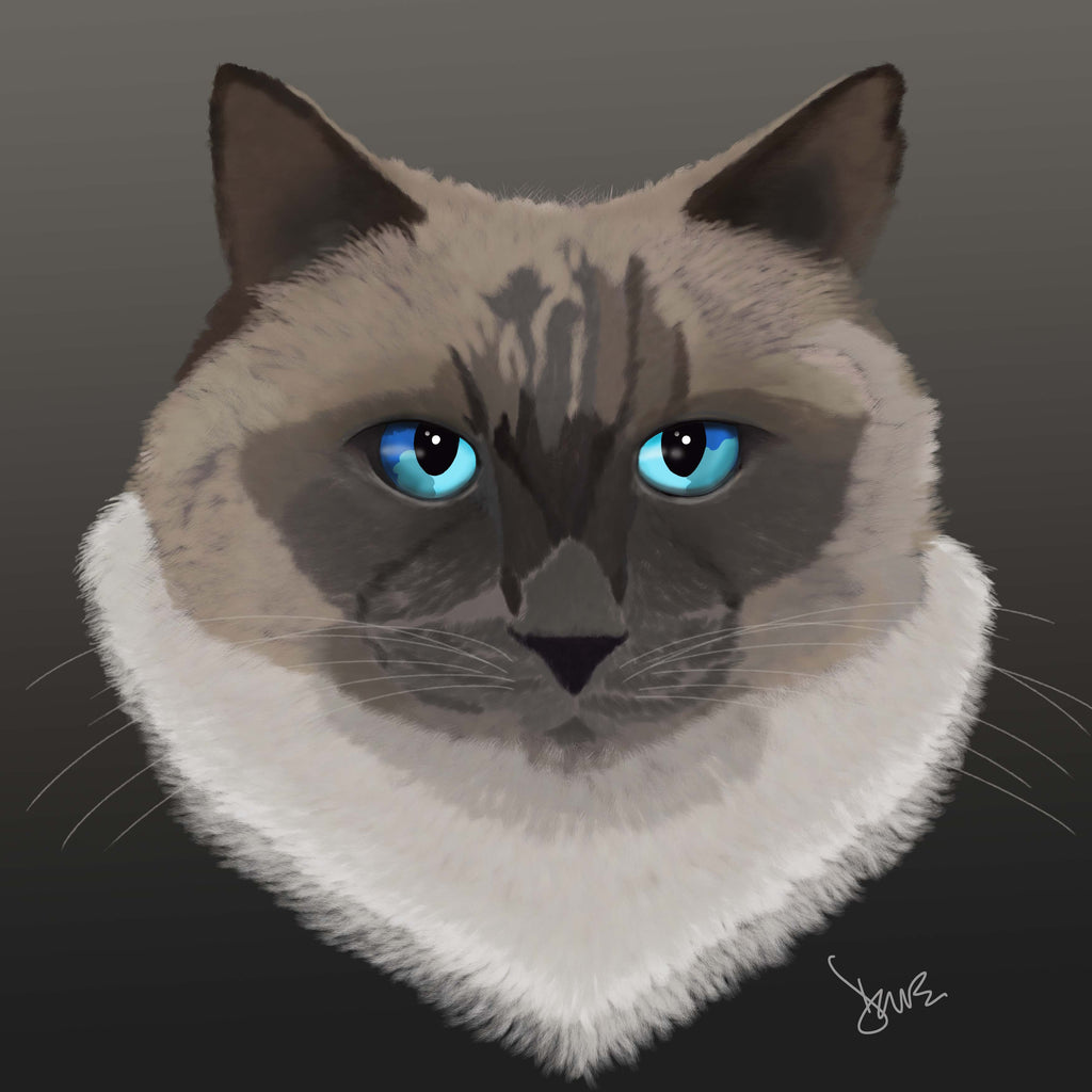Blue-eyed cat portrait on a dark background