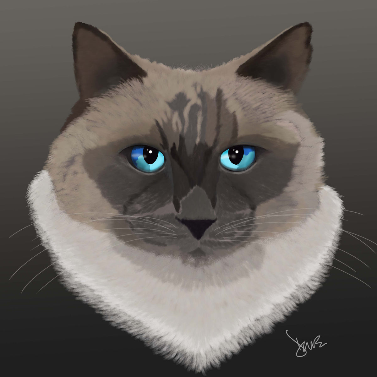 Blue-eyed cat portrait on a dark background