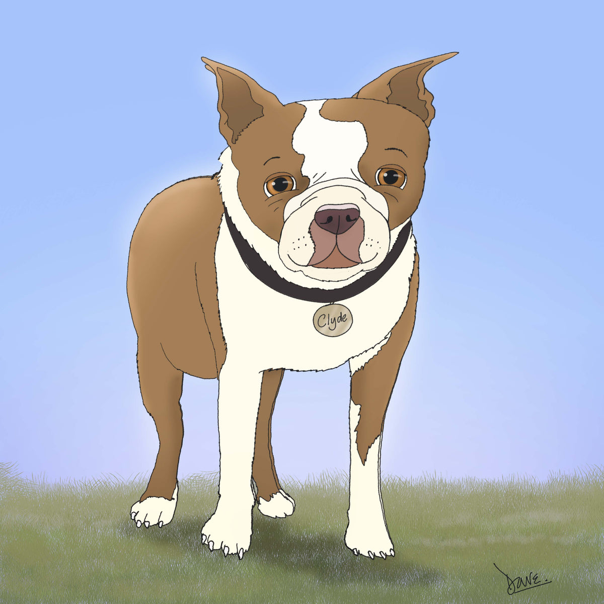 Brown and white dog portrait with a Clyde name tag