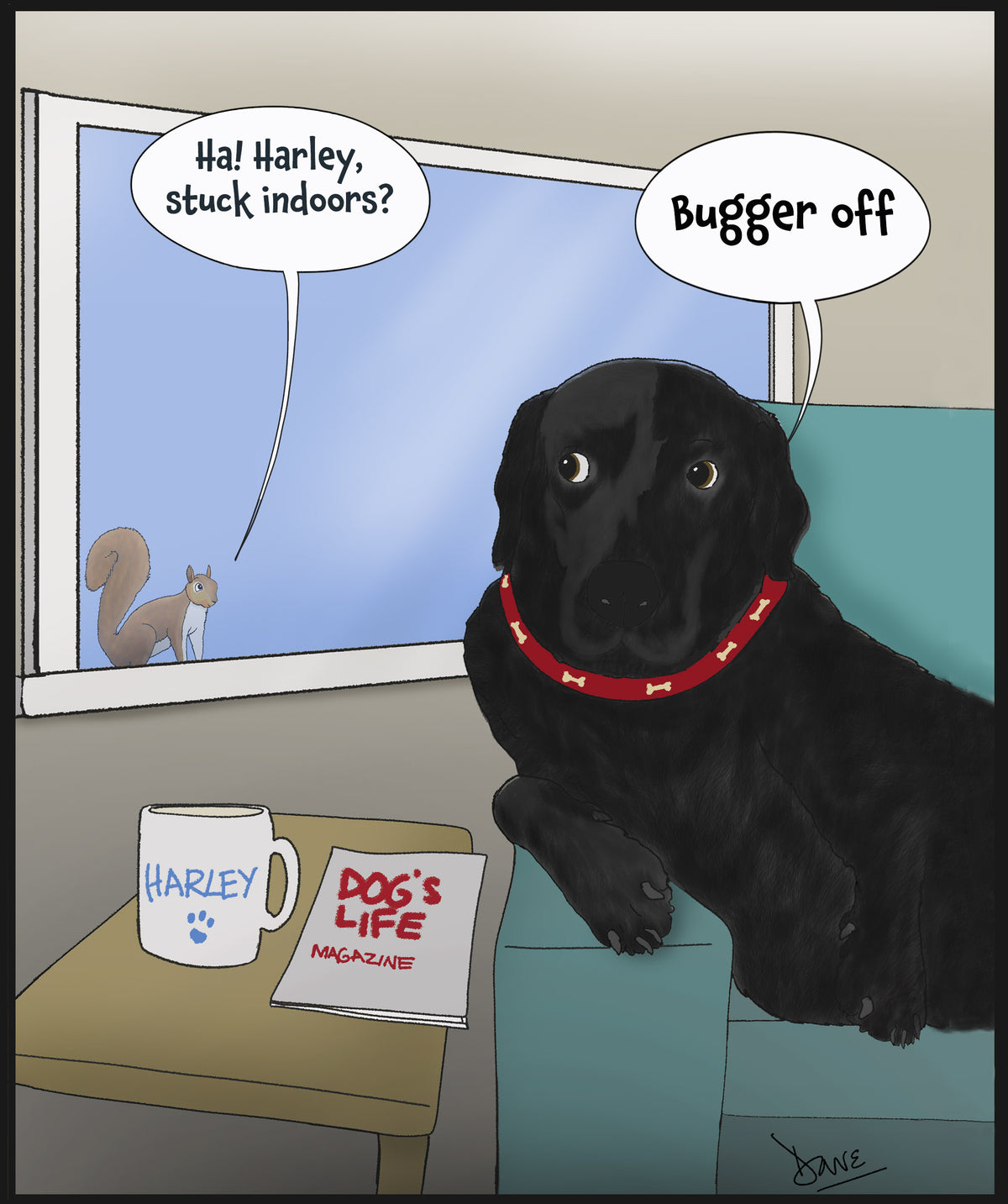 Black dog looking towards a squirrel outside a window